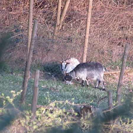 酒店 Cascina Rossa 阿斯蒂