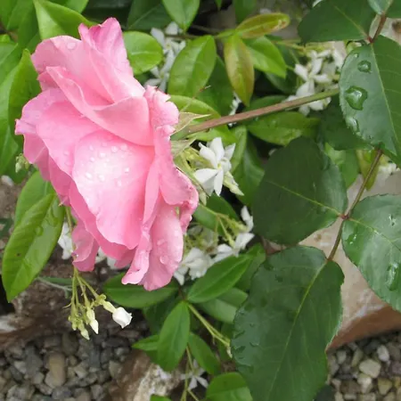 Cascina Rossa 酒店 *